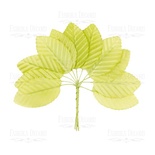 Набір листя салатове, 10 шт., ТМ Фабрика Декору