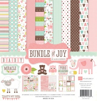 Набор бумаги от Echo park - Bunble of Joy Girl - Baby Girl Collection Kit