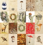 Набор карточек от EcoPaper - "Осенний лес", 20 шт