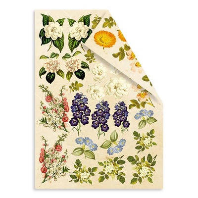 Набір двосторонніх картинок для вирізання Botany summer 15х20см, ТМ Фабрика Декору