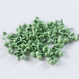 Брадсы "Круглая шляпка", 9x5мм (диаметр 5 мм),  цвет зеленый, 20 шт.