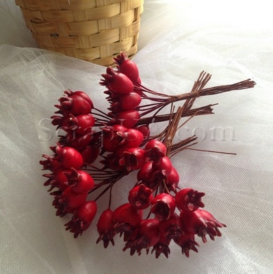 Шиповник, цвет красный, пучок из 12 штук