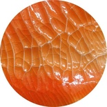 Кракетний гель від ScrapEgo - помаранчевий, 60мл