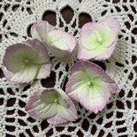 Гортензії з фоамірану з пелюстками з зубчастим краєм, діаметром 35 мм, білий з бузковим, 5шт.