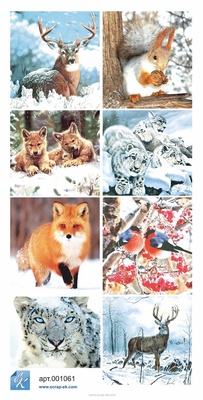 Набір паперу від Євгенія Курдібановська ТМ - Winter, 30x30 см, 8+2 аркушів