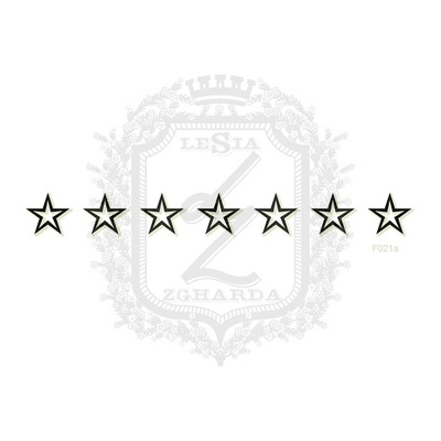 Акриловый штамп Lesia Zgharda F021a Звездочки в ряд