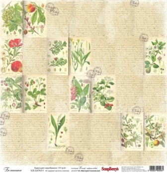 Бумага для скрапбукинга от ScrapBerry's  30х30см  односторонняя Ботаника