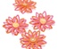 Фигурный дырокол EK Tools - Daisy Flower Burst Large Punch