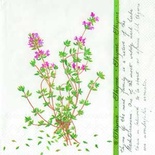 Серветка для декупажу "Тимʼян", колір фону: білий, розмір: 33x33 см