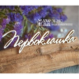 Чипборд ScrapBox - напис Першоклашка Hi-296
