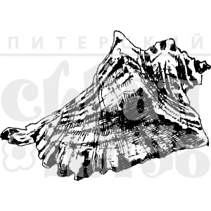 Акриловый штамп "Ракушка средняя"