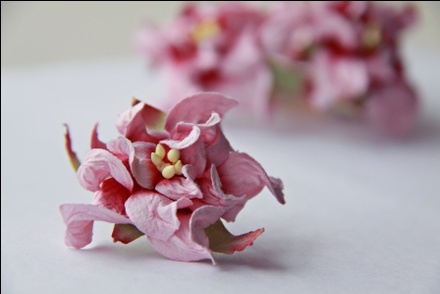 Гардения, диаметр 5 см, цвет розовый, 1 шт.