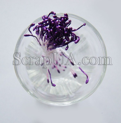 Перламутрові тичинки, колір фіолетовий, 25 гілочок (50 тичинок)