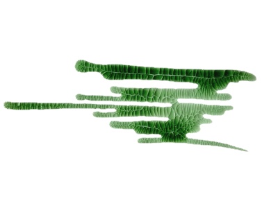 Кракелюрный лак-акцент от ScrapEgo - Хаки, цвет зеленый