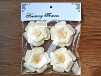 Набор цветов Freetany Flowers – Крем-брюле