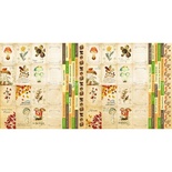 Набор полос с карточками и тегами для декорирования Botany autumn, ТМ Фабрика Декора