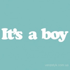 Чипборд від Вензелик - It's a boy, розмір: 18*88 мм