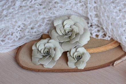 Набор бумажных цветов от WOODchic - "Яблочный цвет" 027