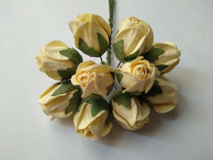 Бутони великі дикої троянди, колір кремовий, розмір бутона 2см, 1шт.