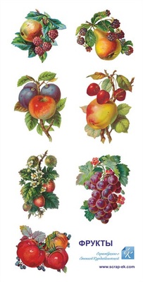 Аркуш з картинками - Фрукти, 15х30 см