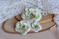 Набор бумажных цветов от WOODchic - "Яблочный цвет" 028