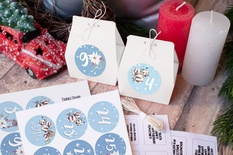 Набір для творчості Адвент-календар #10 UA, ТМ Fabrika Decoru, укр.мова