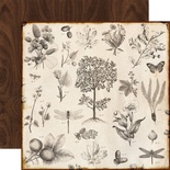 Аркуш двостороннього паперу для скрапбукінгу від Echo Park - Botanical, Reflections