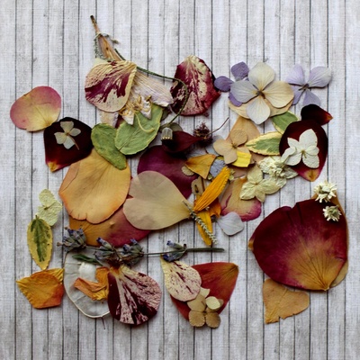 Набор сушеных лепестков