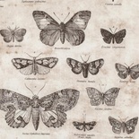 Ткань 100% хлопок - Tim Holtz Eclectic - Butterflies-Taupe, 45х55 см