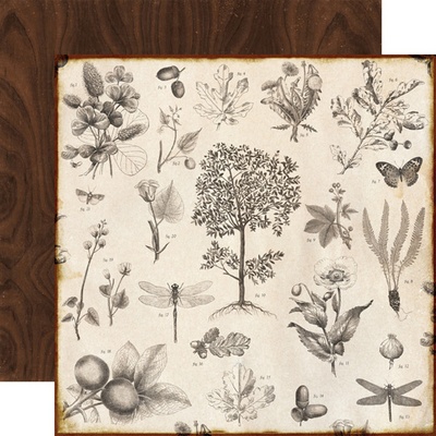 Аркуш двостороннього паперу для скрапбукінгу від Echo Park - Botanical, Reflections