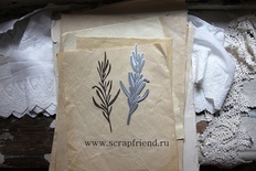 Нож для вырубки от  Scrapfriend - Тархун, 4,5х13,5см