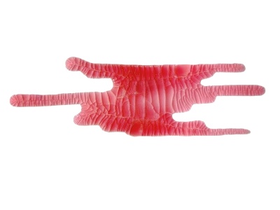 Кракелюрный лак-акцент от ScrapEgo - Дикая роза, цвет красный