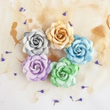 ЦЕНА СНИЖЕНА! Набор цветов Prima - Del Mar Collection - Thoroughbred