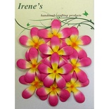 Жасмін, розмір упаковки: 12x16,7 см, колір: жовтий/білий/рожевий, 10 шт.