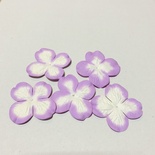 Гортензія бузково - біла, діаметр 40 мм, 20 шт.