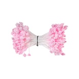 Тичинки двосторонні, колір рожевий, 55x3мм, 144 шт.