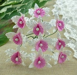 Орхідеї, білий колір з ніжно-рожевий, розмір - 22x30мм, 5шт.