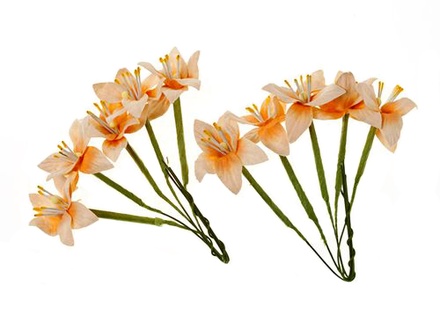 Набір лілій на стеблі від ScrapBerryʼs, колір вершково-персикова, 10 шт.