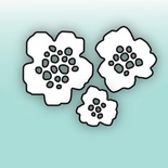 Нож для вырубки от MiMiCut - Цветочная поляна, 24x25, 20x22, 14x14мм