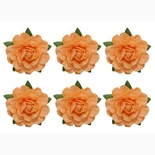 Квіти чайної троянди, діаметр -18 мм, 6 бежеві