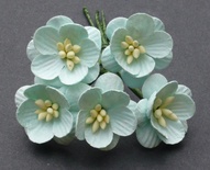 Цветы вишни, цвет пастельный зеленый, диаметр - 25мм, 5 шт.