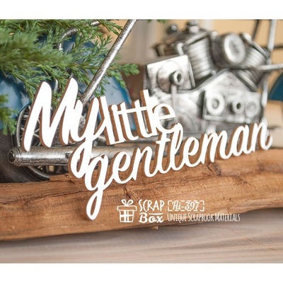 Чипборд ScrapBox - My little gentlman Hi-397