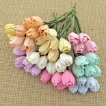 Набір тюльпанів (пастельні відтінки), 10мм, 10 шт.