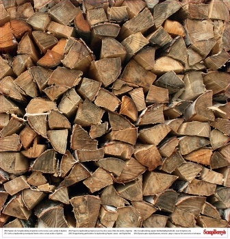 Бумага для скрапбукинга от ScrapBerry's - Опушка леса, В лесу, 30,5х30,5 см 190 гр/м двусторонняя