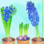 Серветка для декупажу "Гіацинт", колір фону: аквамарин, розмір: 33x33 см