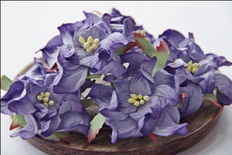 Горденія, діаметр 5см, колір фіолетовий, 1 шт.