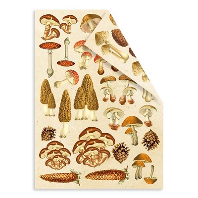 Набір двосторонніх картинок для вирізання Botany summer 15х20см, ТМ Фабрика Декору