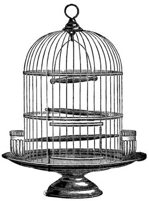 Акриловый штамп Bird Cage Клетка для птиц, размер 5 * 6,7 см