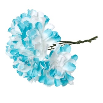 Айстри, колір блакитний/білого, 9 см, букетик, 6шт.