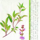 Серветка для декупажу "Шалфей", колір фону: білий, розмір: 33x33 см